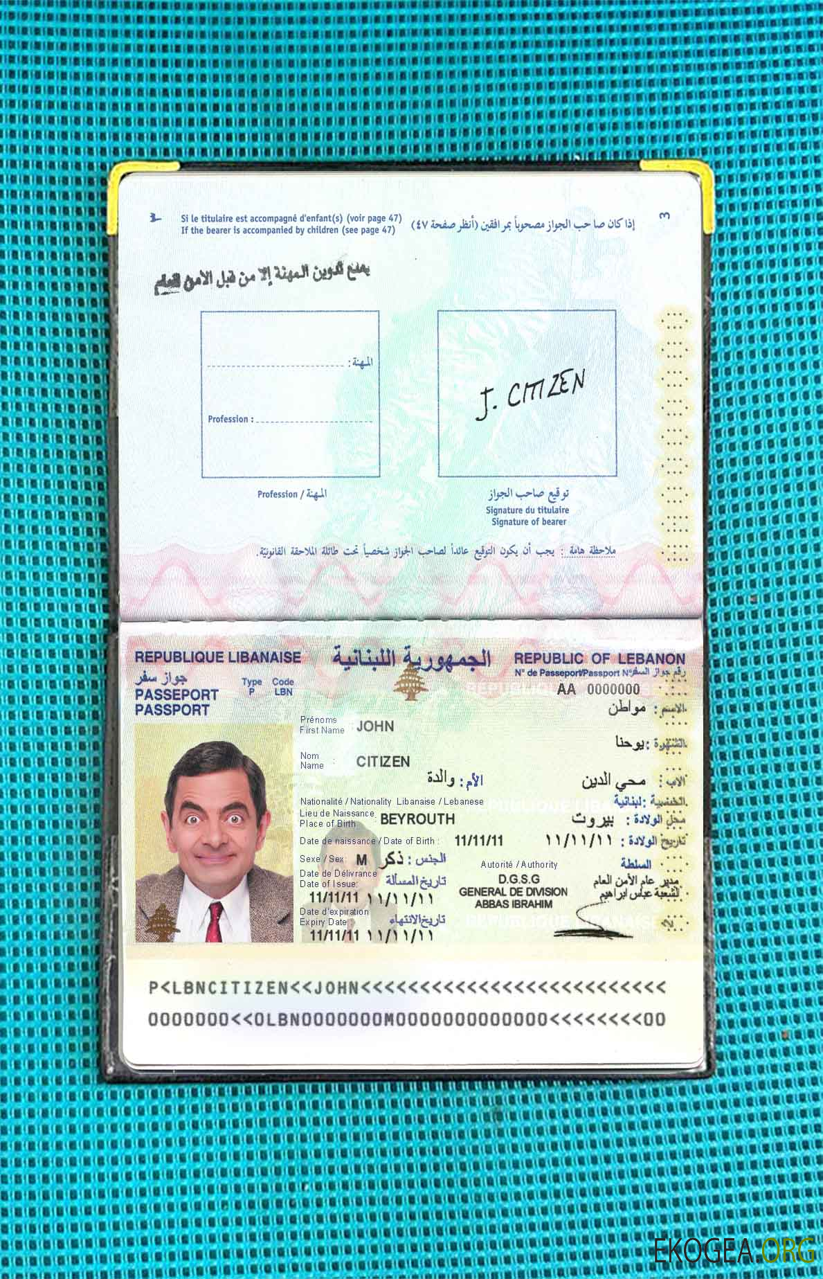 Look de photo de passeport du Liban